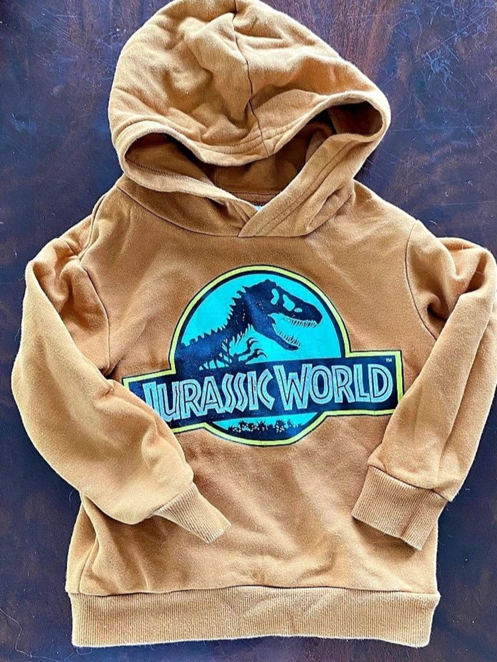 H&M Jurassic World Sweatshirt Hoodie Boys